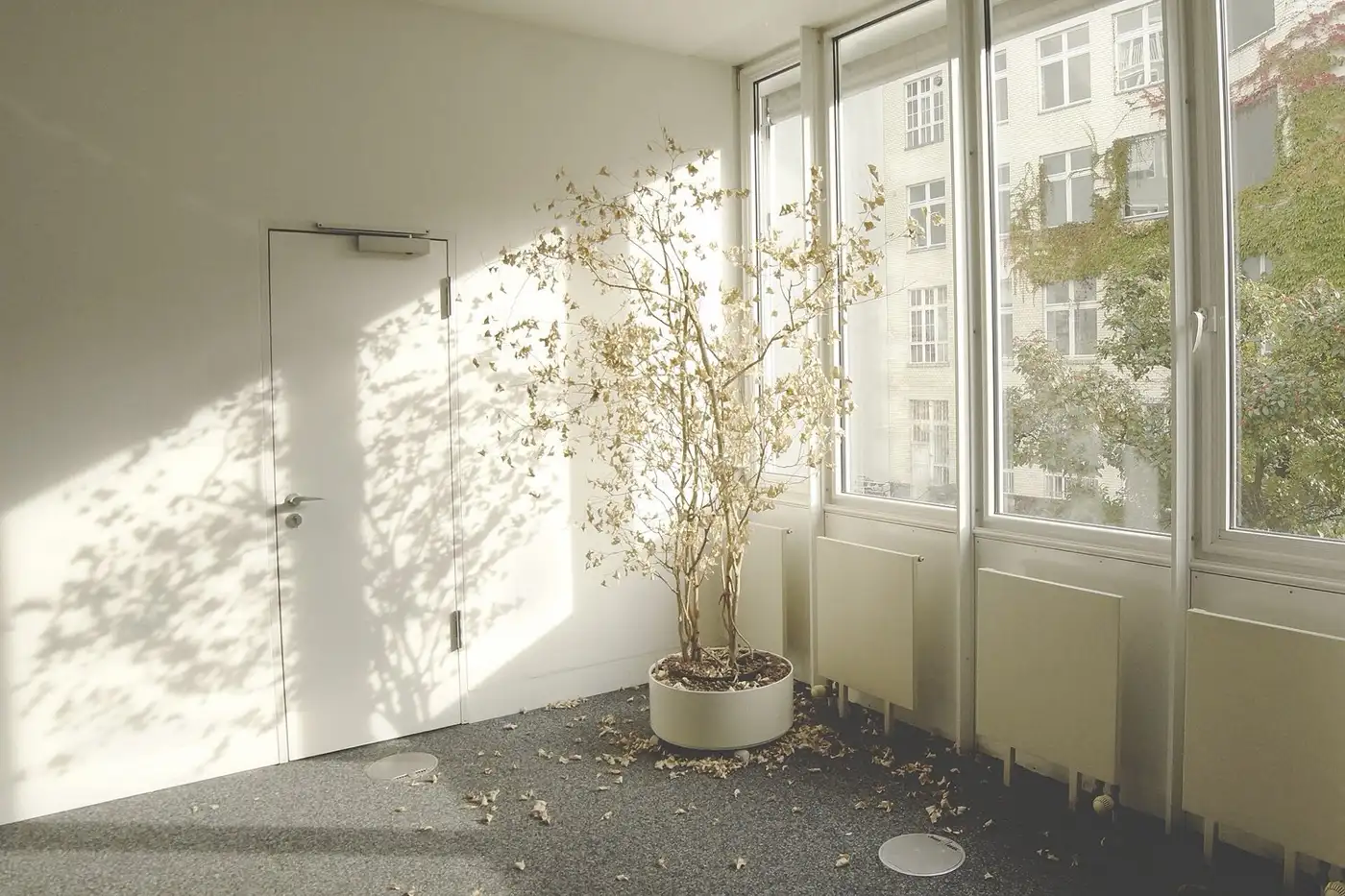 Corporate office — atrium